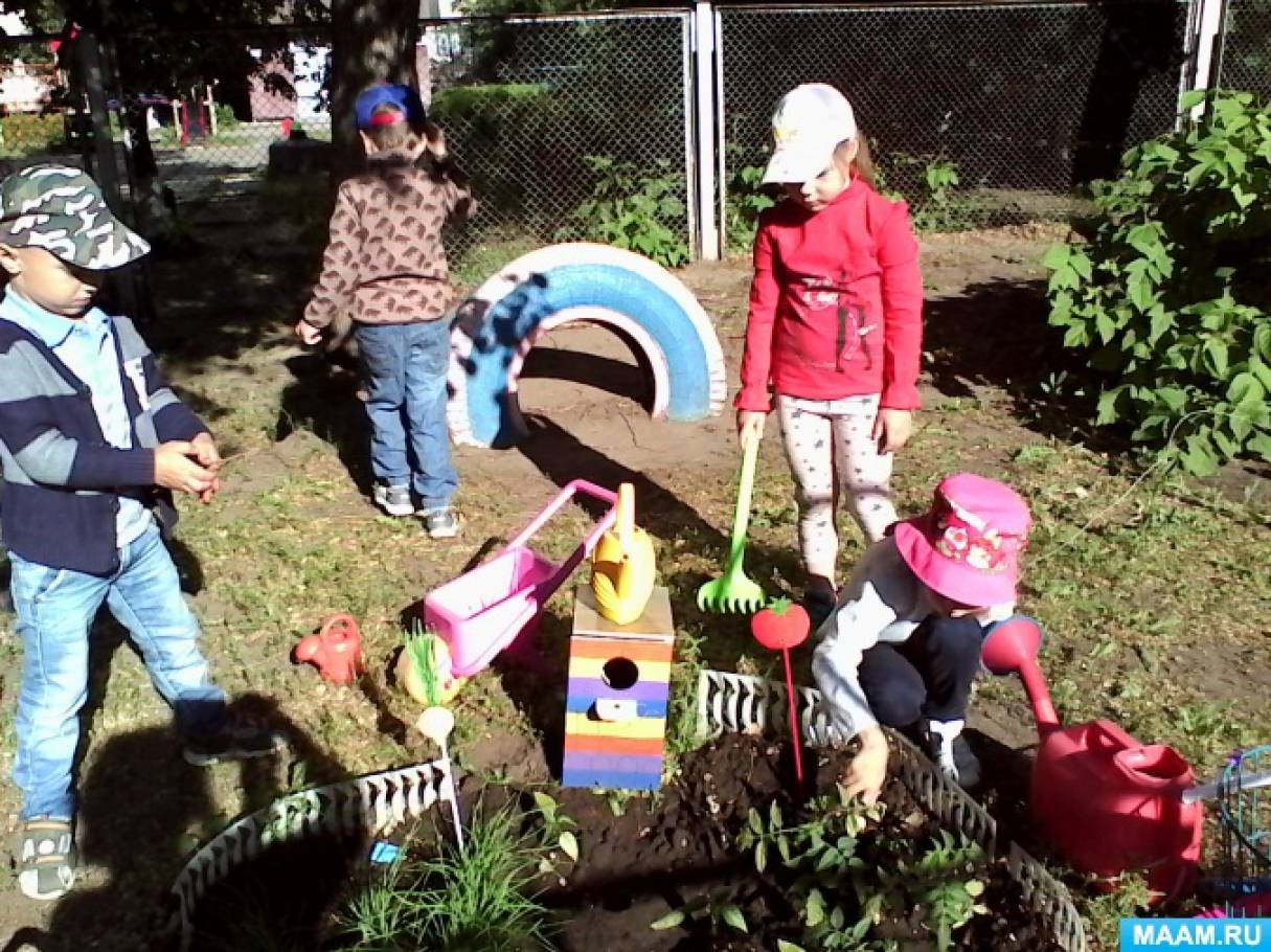 Дети помогают в саду