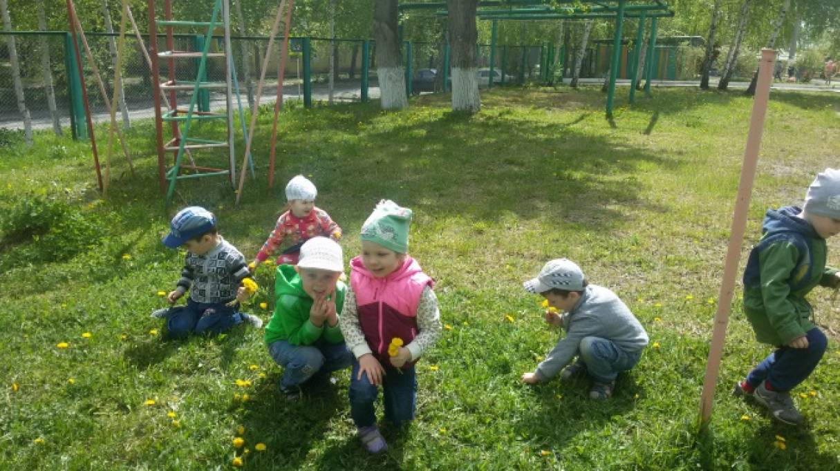 Конспект организации прогулки. (младшая группа №9 «Улыбка») «Наблюдение за одуванчиками» Блонская Е. В и Игнатова И. Р. Фото Конспект организации прогулки. (младшая группа №9 «Улыбка») «Наблюдение за одуванчиками» Блонская Е. В и Игнатова И. Р.