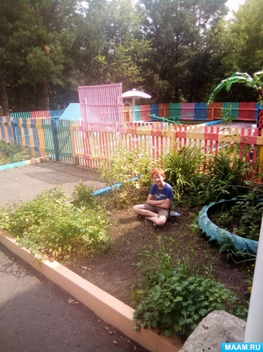 Педагогический проект «Благоустройство прогулочного участка на ...