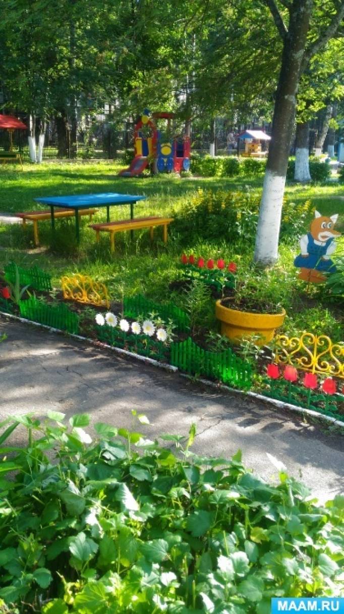 Наш участок летом Фото Наш участок летом