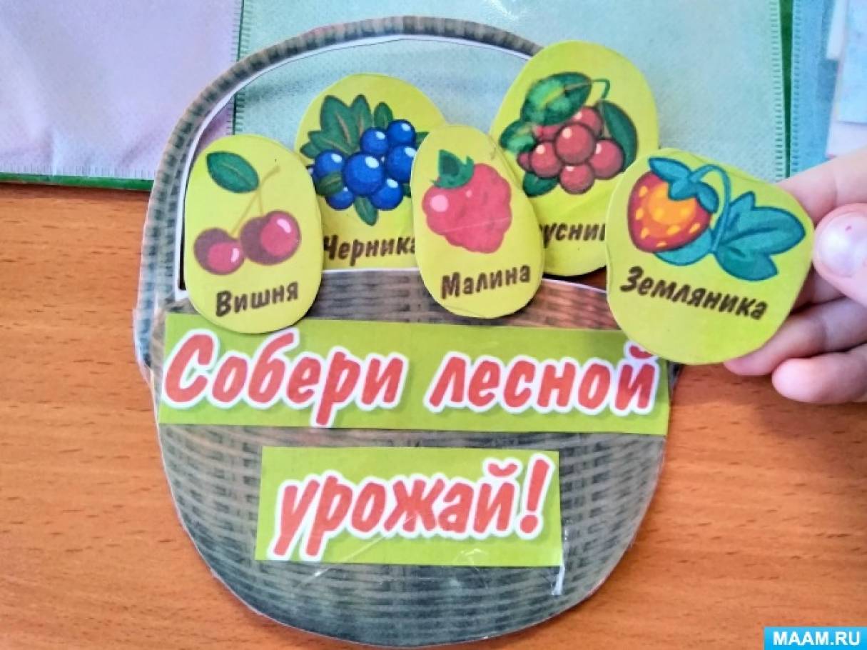 Лэпбук «Дары леса» (13 фото). Воспитателям детских садов, школьным учителям  и педагогам - Маам.ру