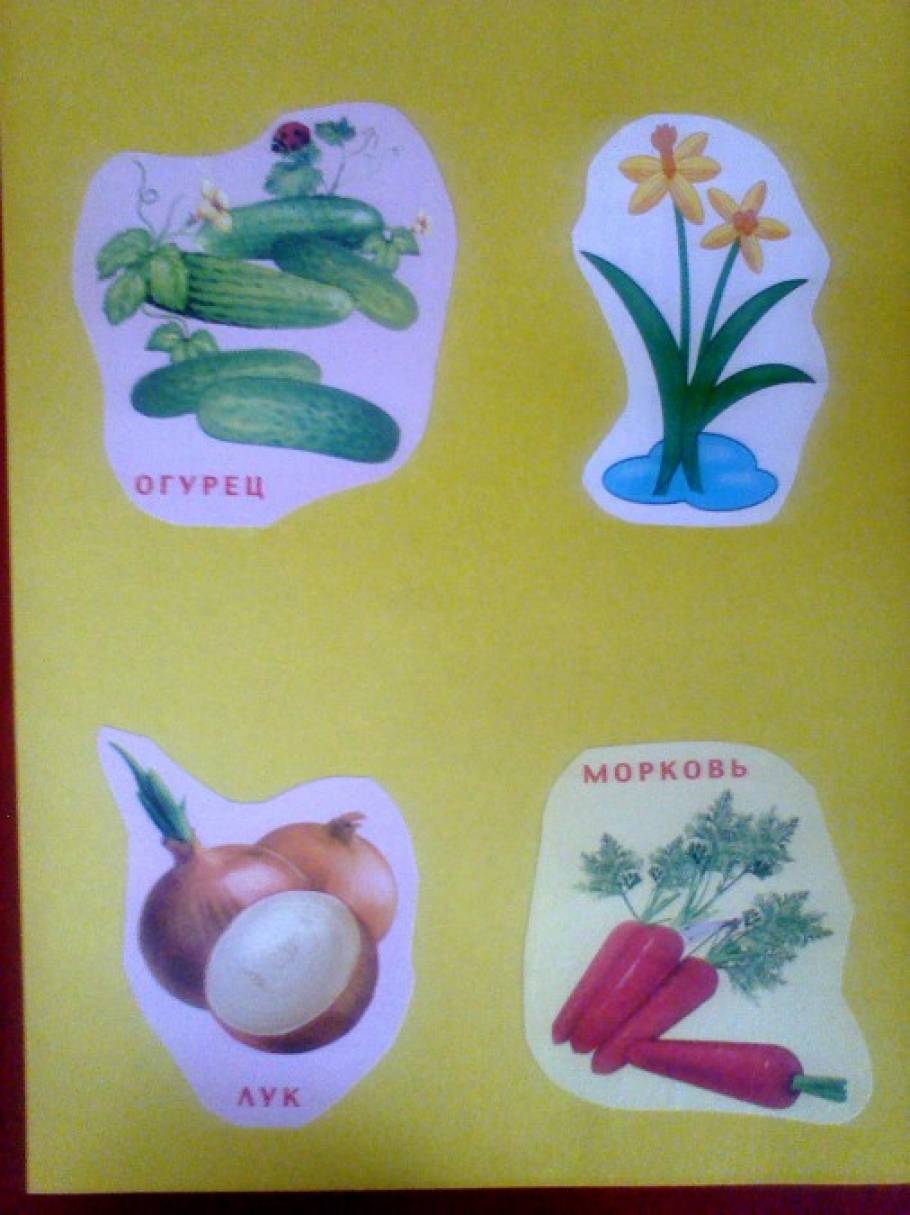 Игра на развитие внимания для детей младшего возраста «Детское лото. Найди лишний предмет». Воспитателям детских садов, школьным учителям и педагогам - Маам.ру