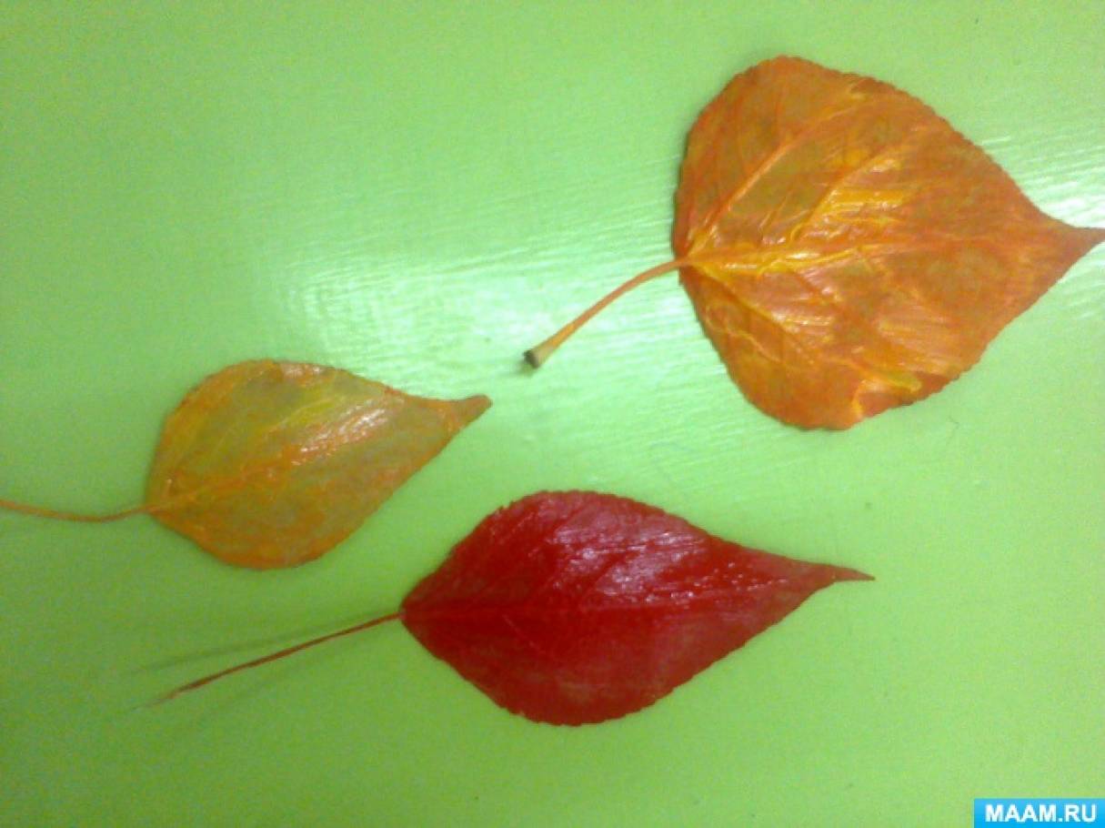 Конспект занятия по рисованию в нетрадиционной технике на тему: «Осенний лес» с детьми 5–6 лет