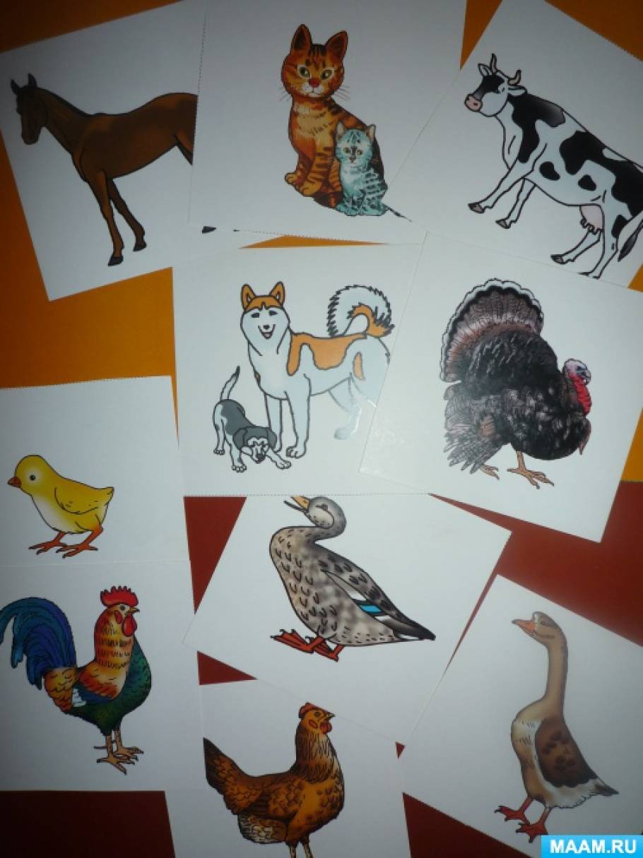 Что такое речь картинки для детей. Смотреть фото Что такое речь картинки для детей. Смотреть картинку Что такое речь картинки для детей. Картинка про Что такое речь картинки для детей. Фото Что такое речь картинки для детей Что такое речь картинки для детей. Смотреть фото Что такое речь картинки для детей. Смотреть картинку Что такое речь картинки для детей. Картинка про Что такое речь картинки для детей. Фото Что такое речь картинки для детей