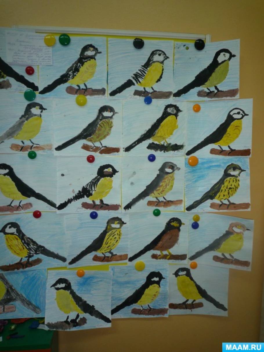 Аппликация на тему птицы в подготовительной группе. Рисование синичка старшая группа. Рисование птицы в старшей группе. Рисование зимующие птицы старшая группа. Рисование зимующие птицы средняя группа.