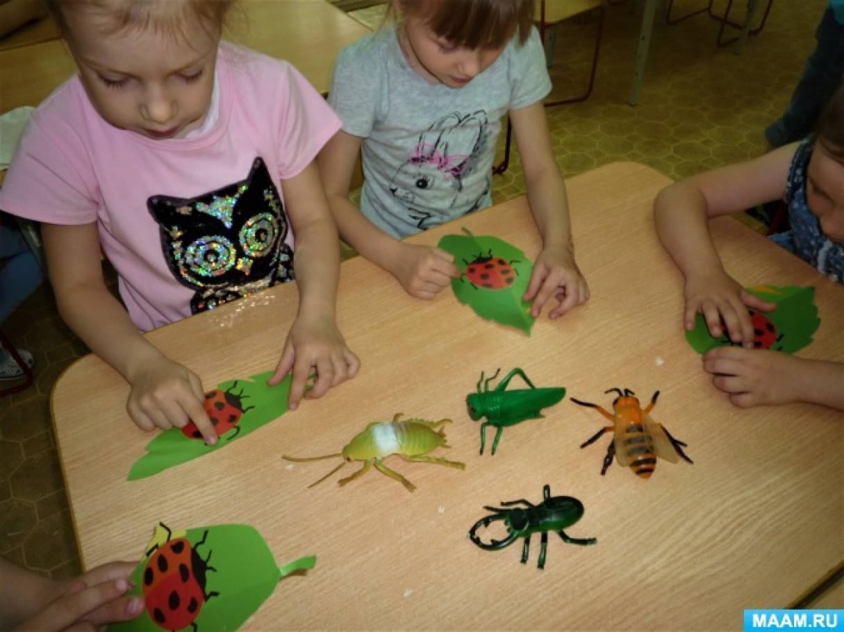 Тема насекомые 2 младшая группа. Занятие насекомые в старшей группе. Проект насекомые в средней группе. Удивительные насекомые проект в старшей группе. Проект про насекомых в детском саду.