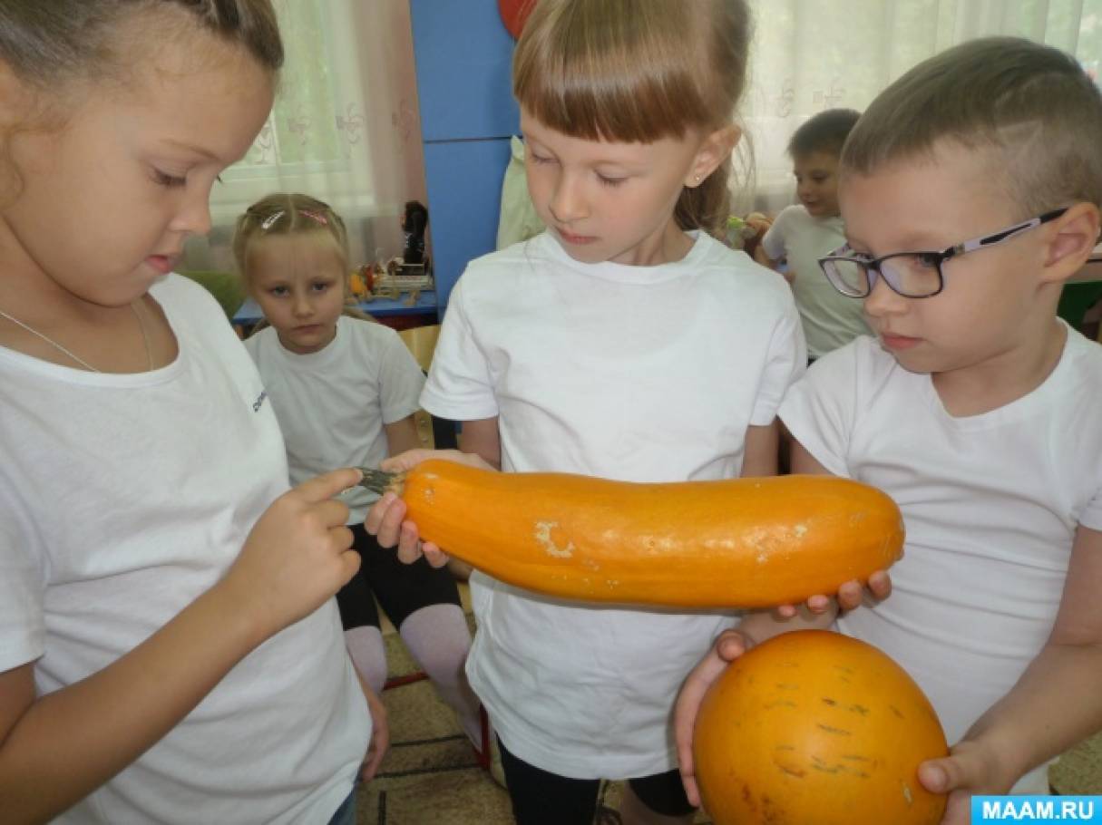 Фотоотчёт об интегрированной НОД по ФЦКМ в подготовительной к школе группе «Фрукты и овощи. Сбор урожая в Оренбуржье» Фото Фотоотчёт об интегрированной НОД по ФЦКМ в подготовительной к школе группе «Фрукты и овощи. Сбор урожая в Оренбуржье»