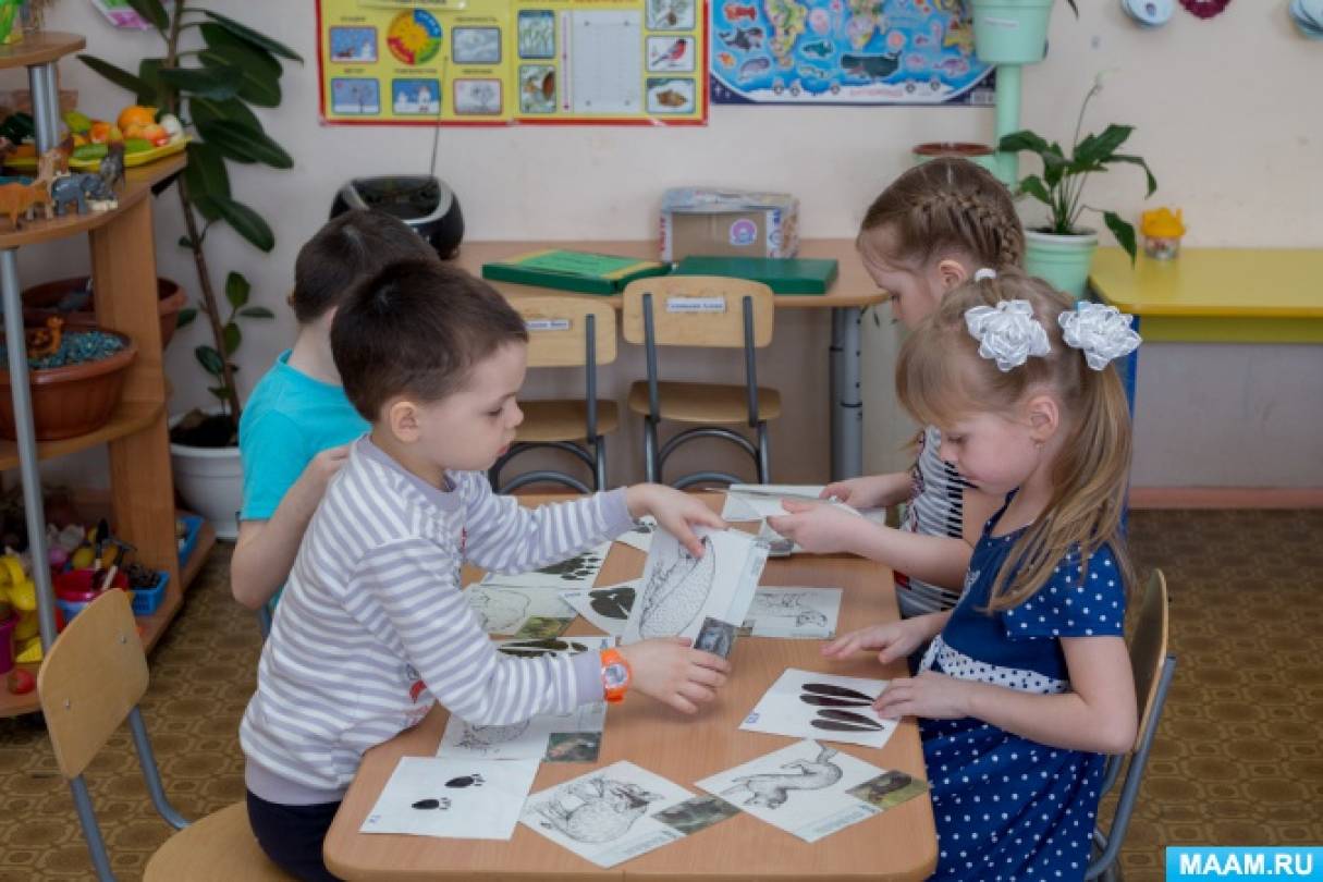 Развивающие игры с ребенком 4 года чей след