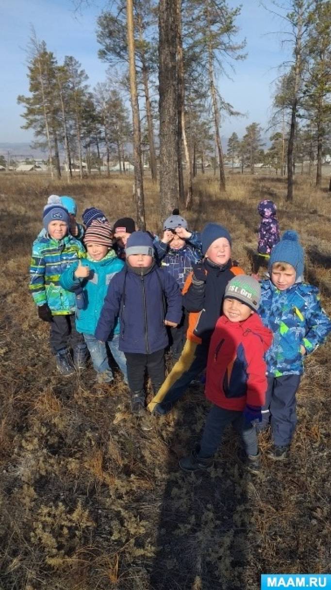 Фотоотчет «Поход в лес» Фото Фотоотчет «Поход в лес»