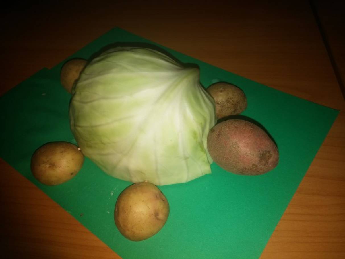 Поделка из капусты