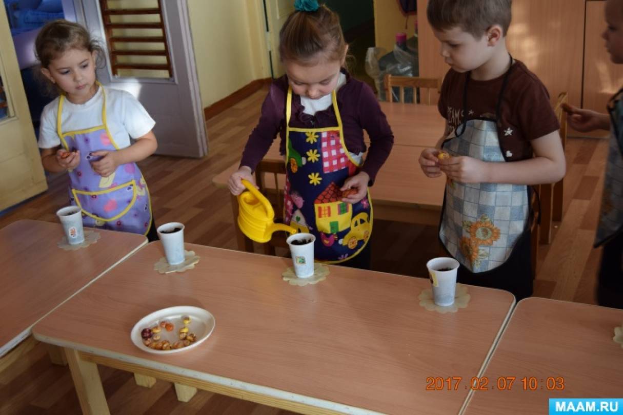 Фотоотчет «Огород на подоконнике» (средняя группа) Фото Фотоотчет «Огород на подоконнике» (средняя группа)