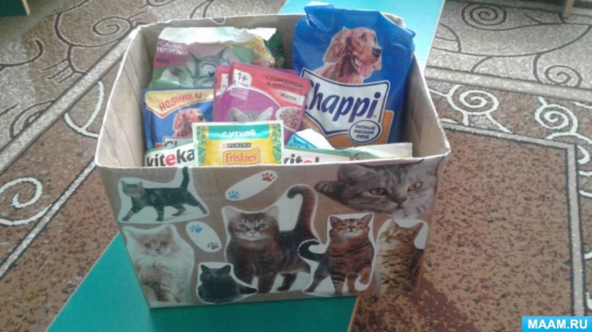 Смотреть фотографию №3 Фото №3 на занятиях мы рисовали лепили конструировали кошек