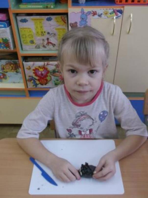 Оформляем уголок природы. Фотоотчет Фото Оформляем уголок природы. Фотоотчет