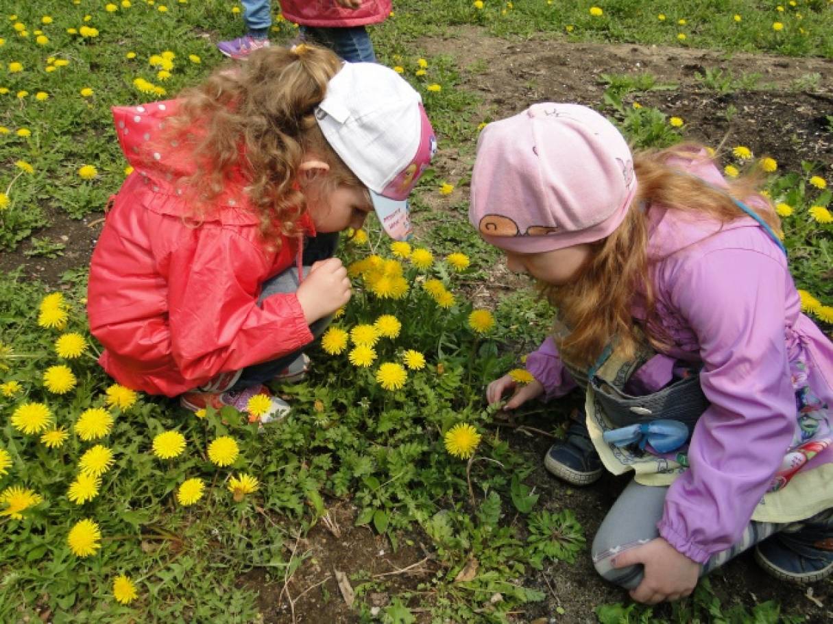 Наблюдения за растениями в детском саду. Прогулка в детском саду. Дети на прогулке весной. Дети наблюдают за природой. Наблюдение за природой в детском саду.