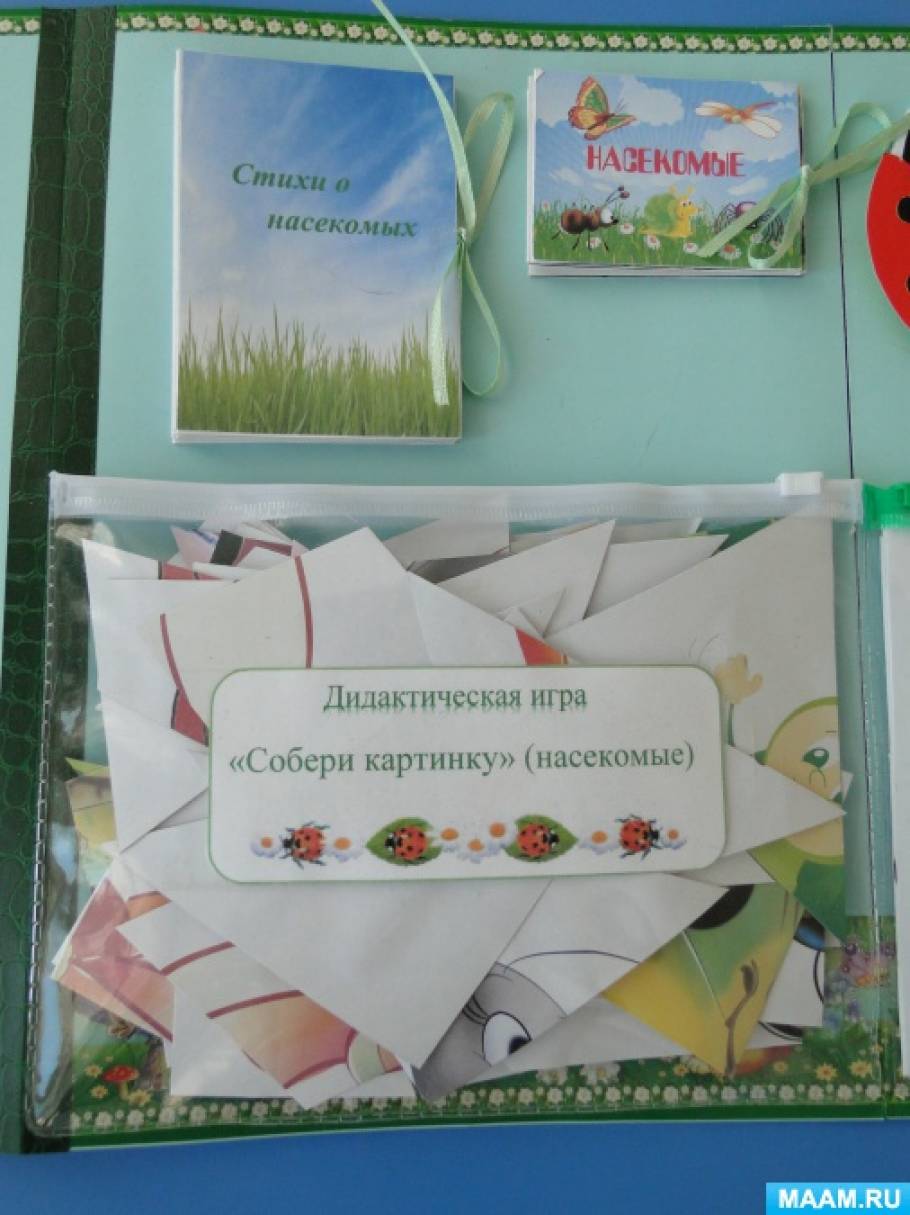 Смотреть фотографию №3 Фото №3 В одной папке собран необходимый материал по определенной теме тут могут быть загадки стихи физминутки иллюстрации головоломки лабиринты дидактические игры раскраски пальчиковые игры модули и др