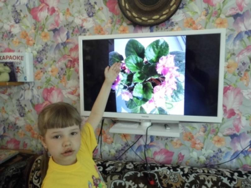 Смотреть фотографию №12 Фото №12 Ванюшка Ванек рубашка огонек