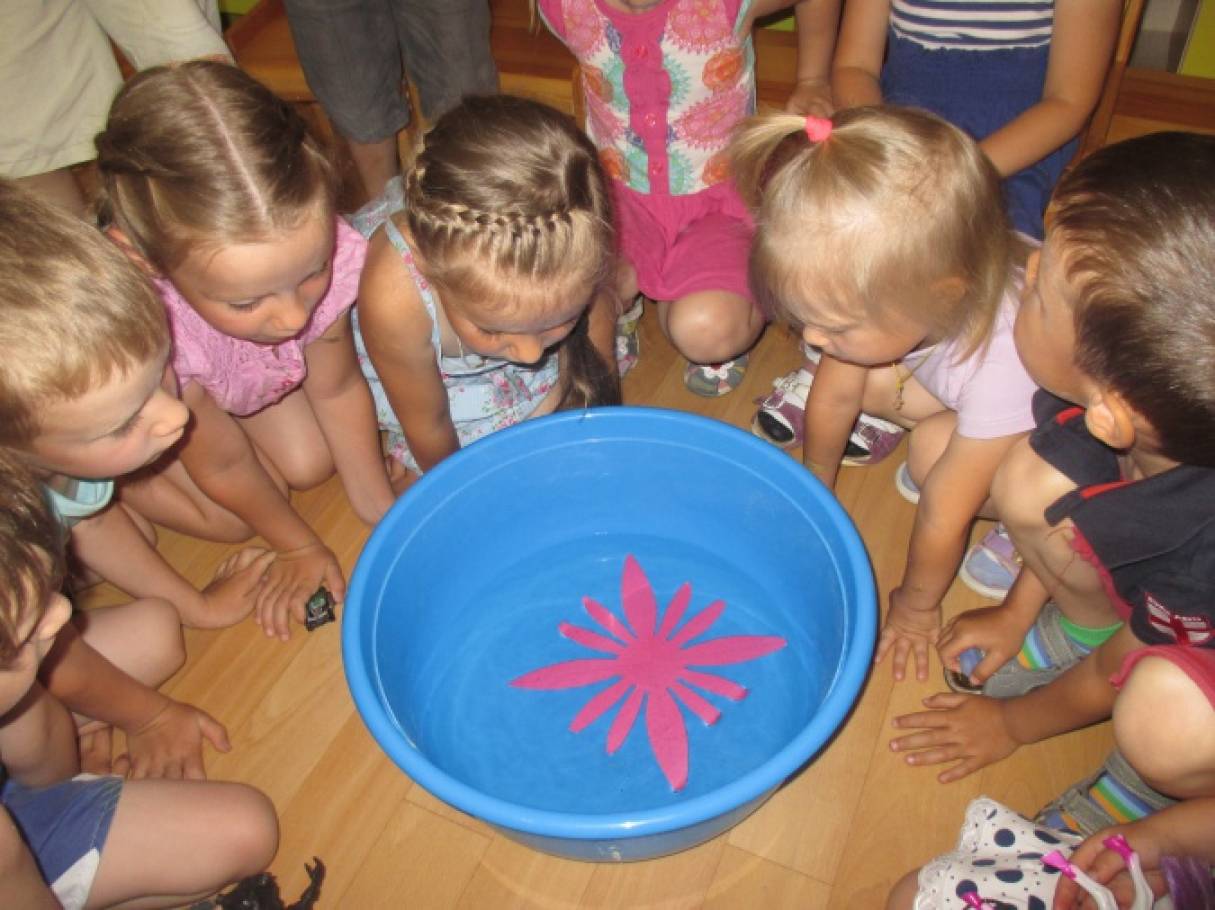 Развлечение младшего возраста. Экспериментирование с водой. Интересные занятия в детском саду. Эксперименты в детском саду. Дети на занятии в детском саду.