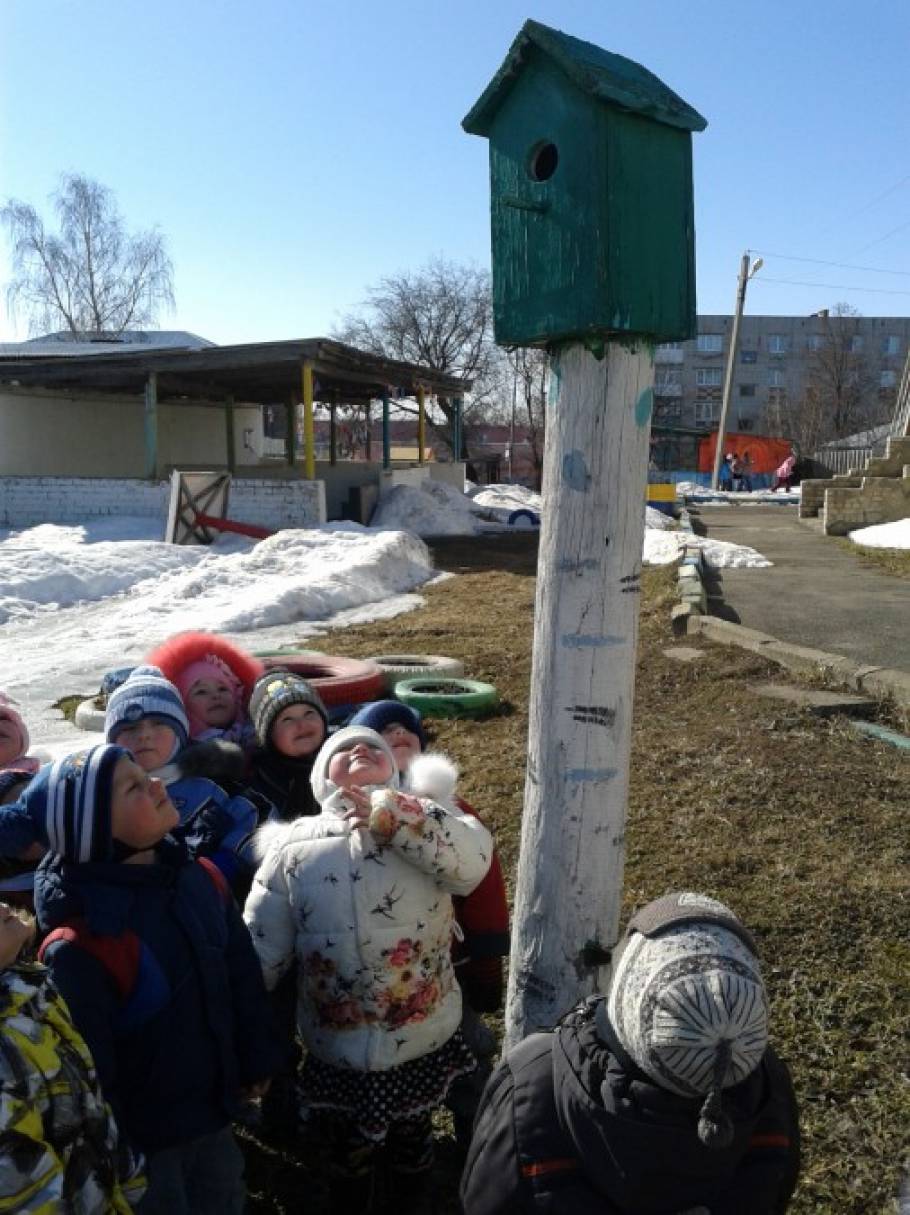 Наблюдение 2 младшая группа Фото Наблюдение 2 младшая группа