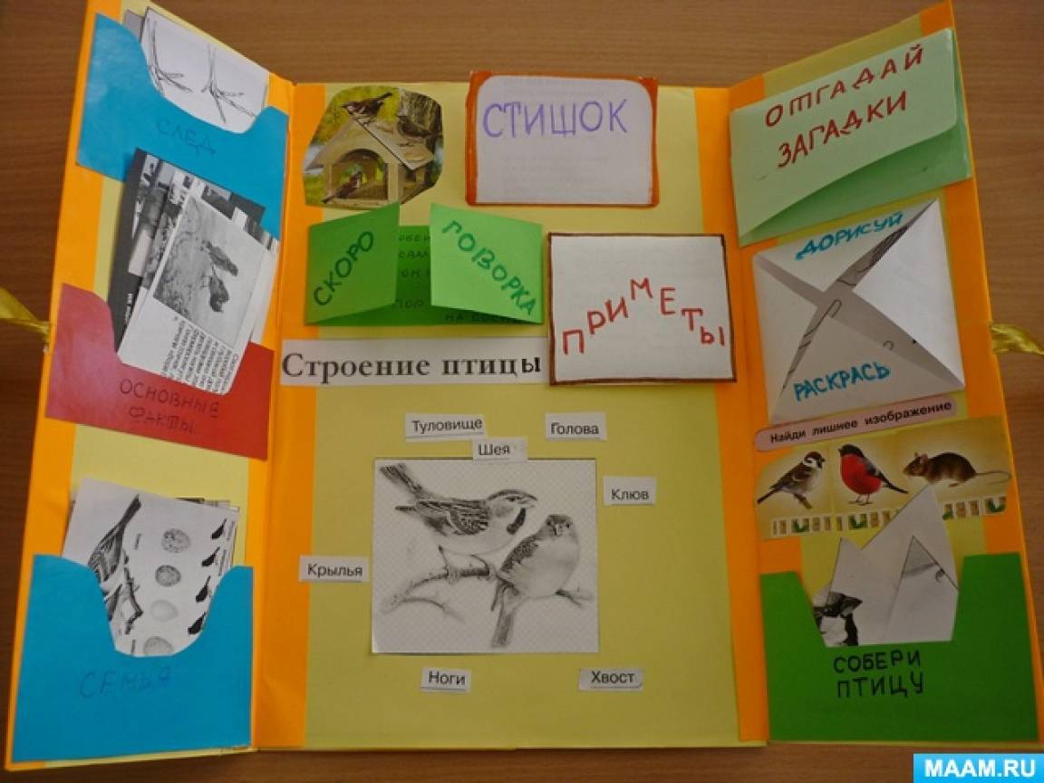 Лэпбук как средство обучения в условиях ФГОС - фото Лэпбук как средство обучения в условиях ФГОС