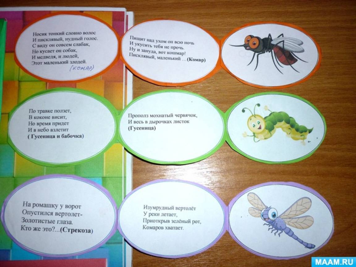 Развитие речи насекомые средняя группа. Лэпбук насекомые. Лэпбук насекомые для дошкольников. Лэтсбук по теме насикомые. Книжка насекомое для садика.