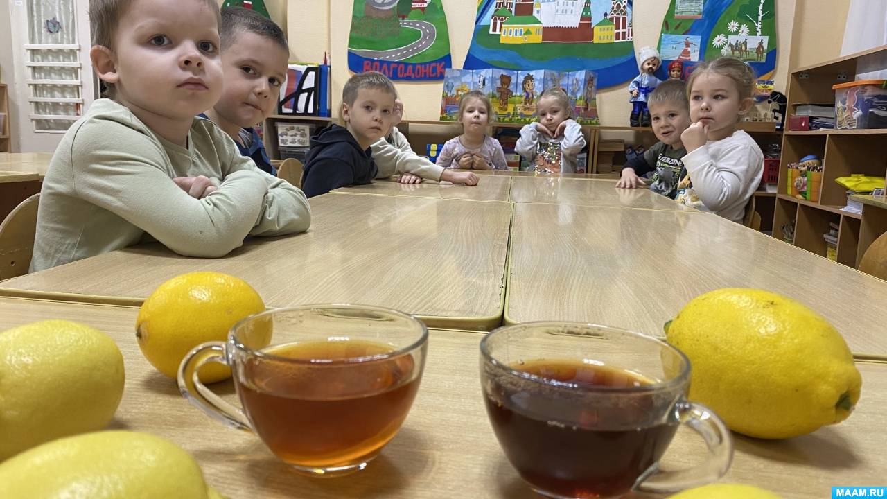 Детский проект удивительный лимон Средняя группа - Фотоотчёты - Страница 3094. Воспитателям детских садов, школьны