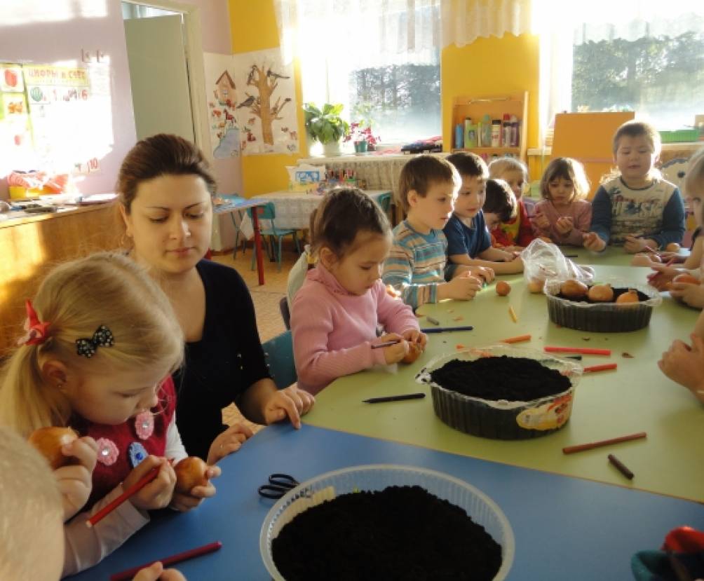 «Огород на окне». Фотоотчет. Фото «Огород на окне». Фотоотчет.