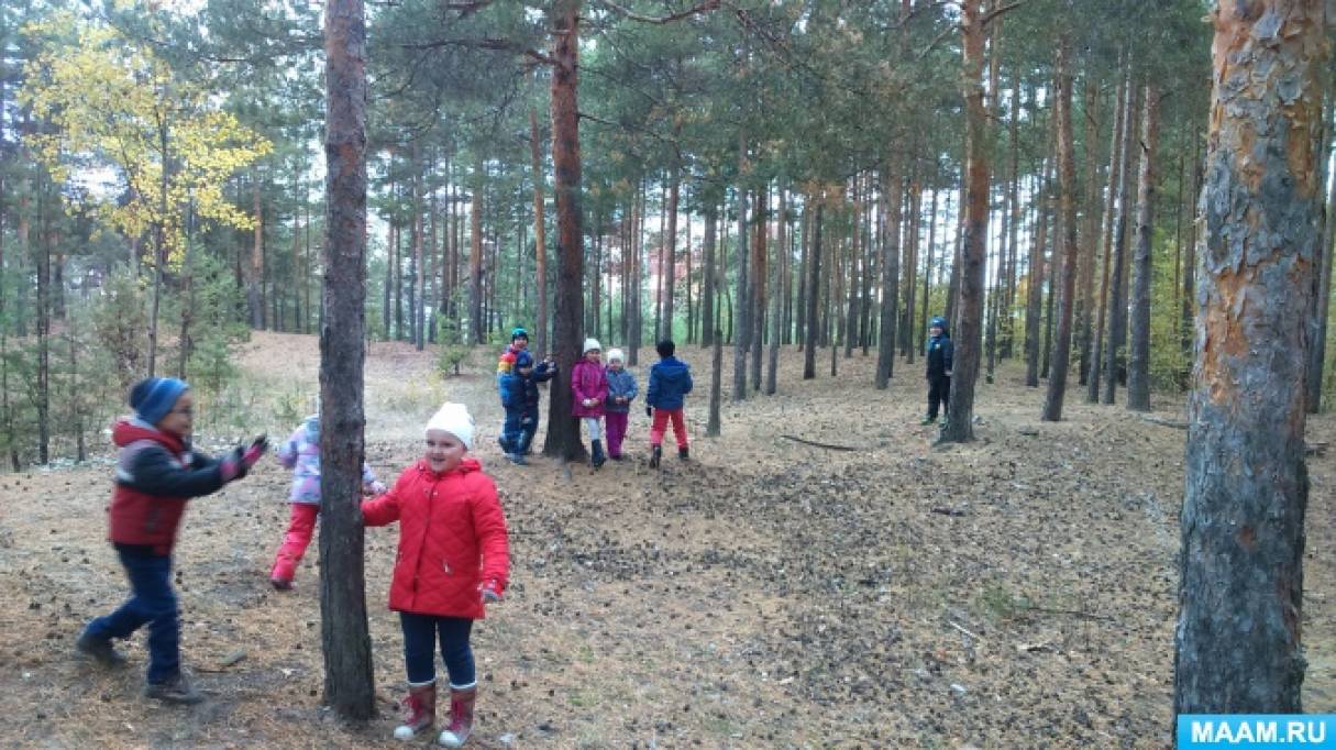 День леса отчет в детском саду. 10 Детей подготовительной группы экскурсии в лес.