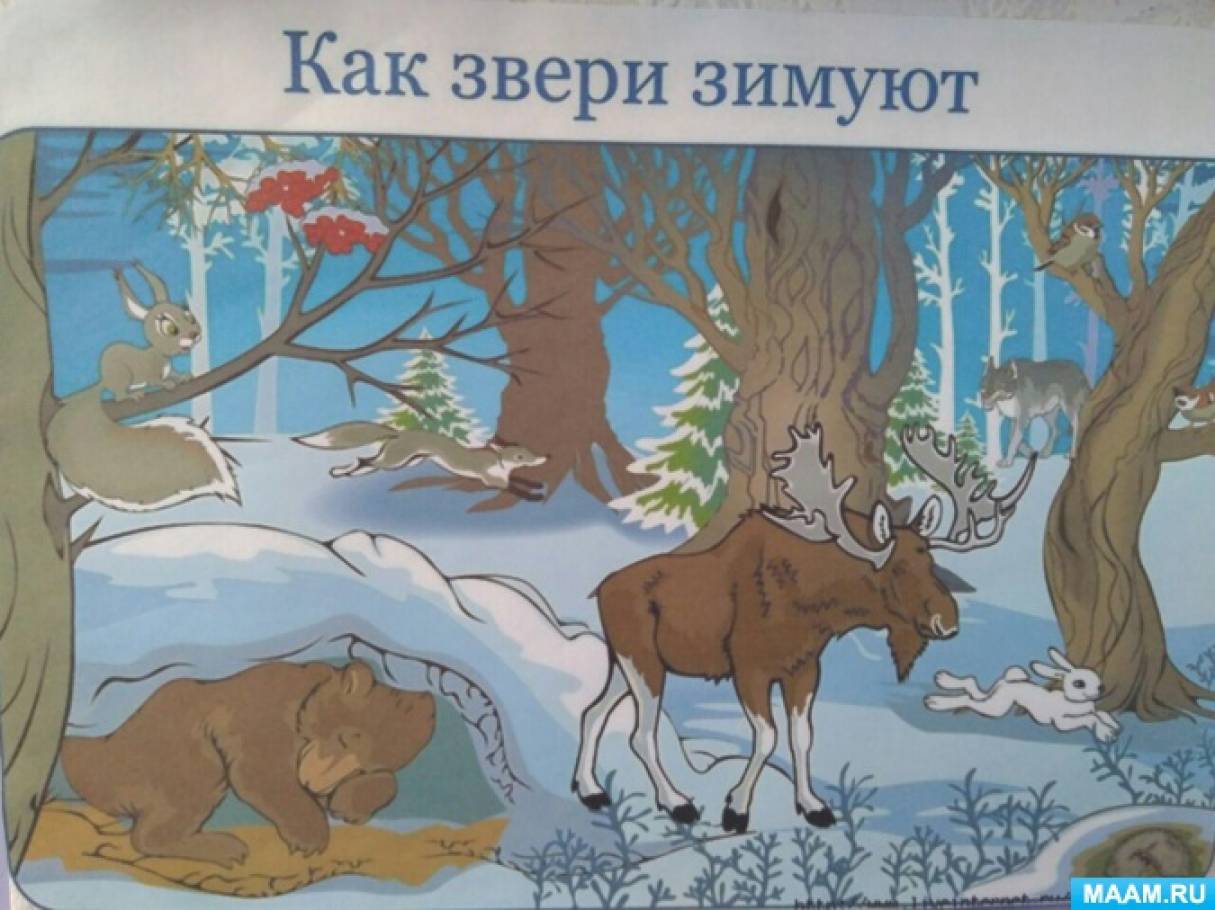 Как сделать зимний лэпбук. Смотреть фото Как сделать зимний лэпбук. Смотреть картинку Как сделать зимний лэпбук. Картинка про Как сделать зимний лэпбук. Фото Как сделать зимний лэпбук