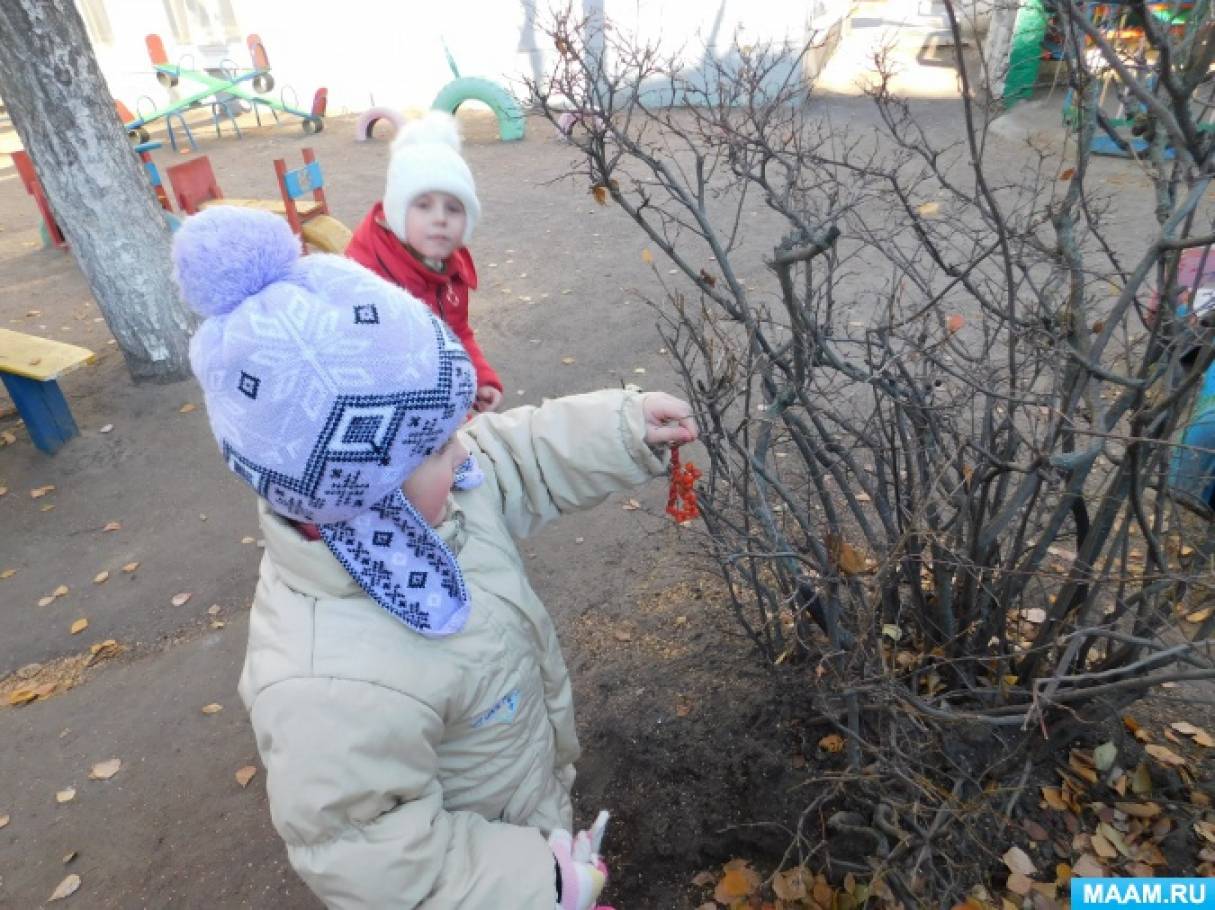Покормите птиц зимой акция дата. Смотреть фото Покормите птиц зимой акция дата. Смотреть картинку Покормите птиц зимой акция дата. Картинка про Покормите птиц зимой акция дата. Фото Покормите птиц зимой акция дата