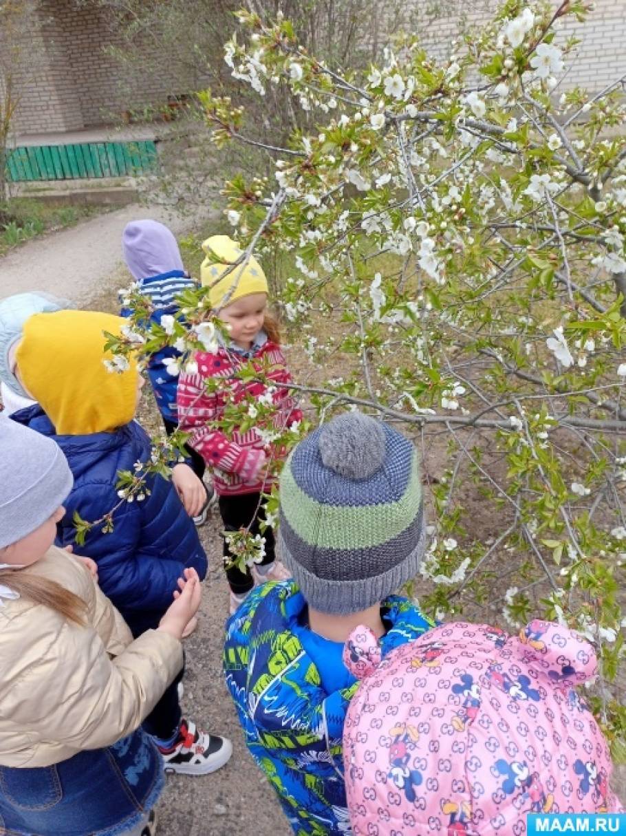 Смотреть фотографию №5 Фото №5 Да все времена года хороши и каждое прекрасно по своему