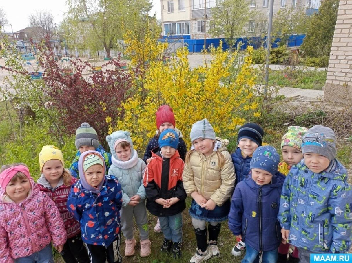 Смотреть фотографию №7 Фото №7 Весна это очень интересное и удивительное время в году