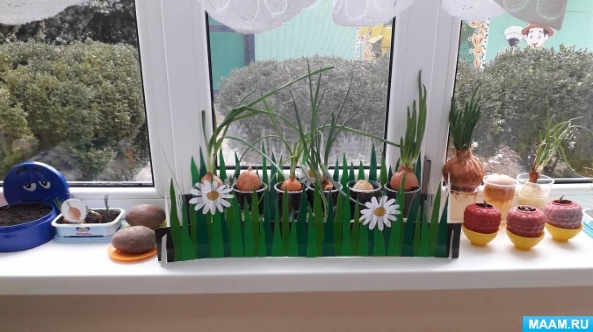 Зимний огород в детском саду. Огород на окне подготовительная группа. Познавательное знание огород на окне в подготовительной группе. Огород на окне в подготовительной группе оформление