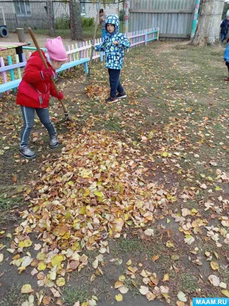 Конспект организации труда в природе «Уборка листьев» в разновозрастной ...