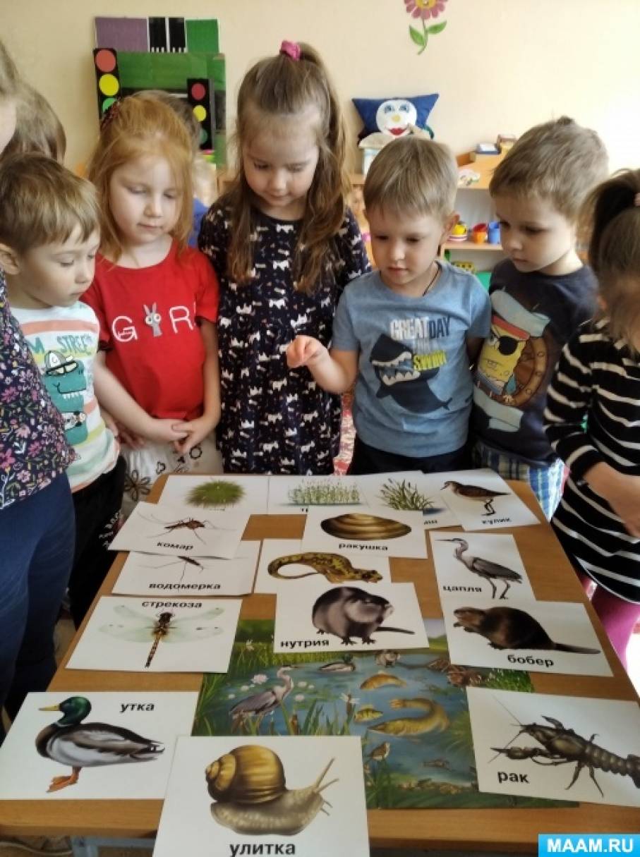 detsad 659105 1620148794 Лягушки на болоте как пройти