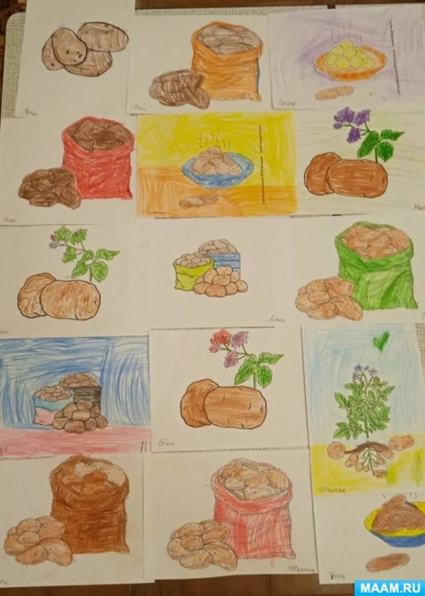 Проект «Здравствуй, милая картошка» для детей старшей группы