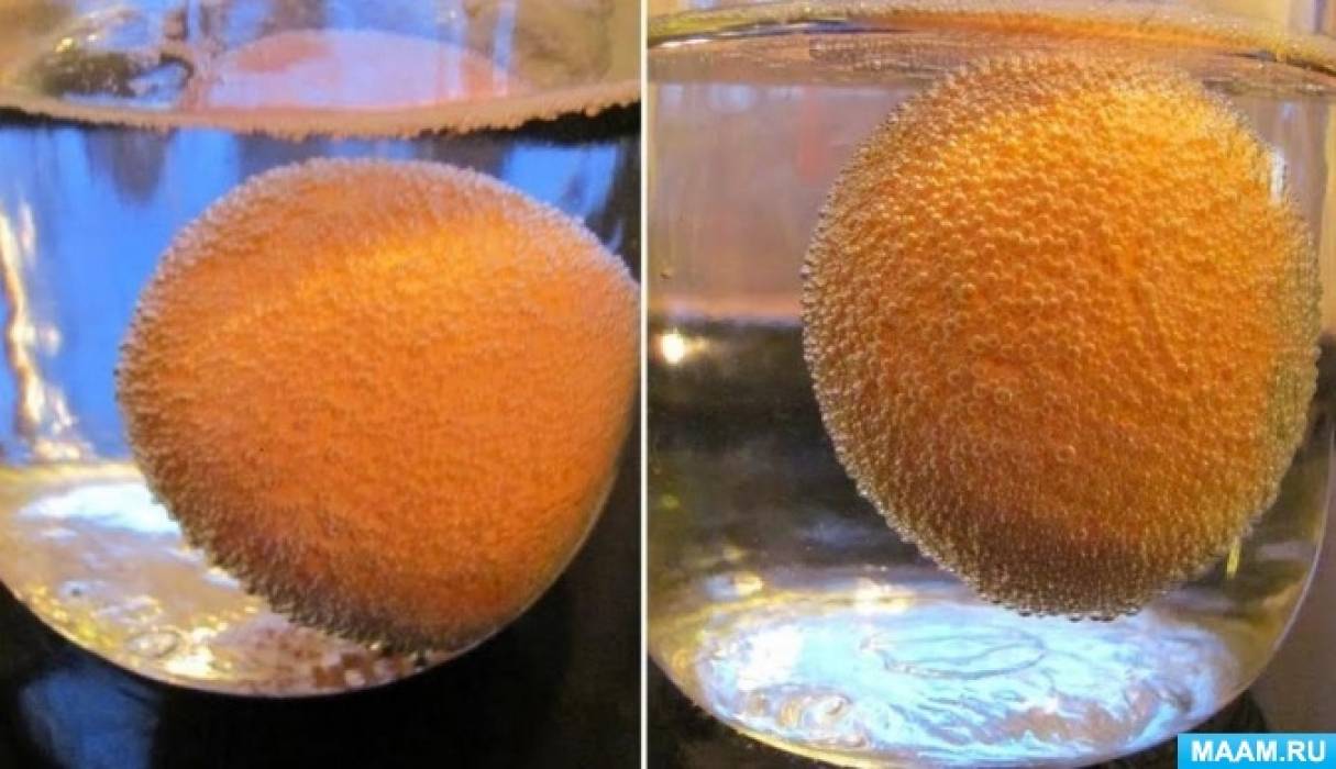Яйца на поверхности воды. Опыт с яйцом. Эксперимент с апельсином. Опыты с яйцом для детей. Химические опыты с апельсином.