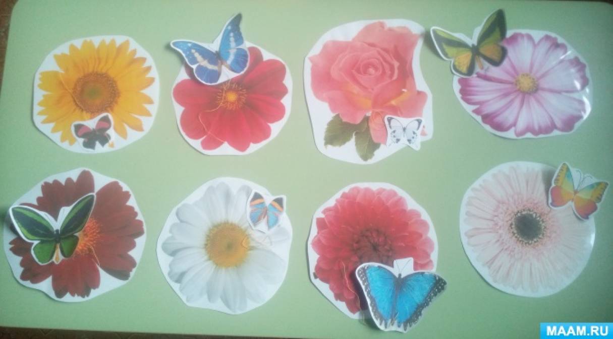 села муха на пирог. Смотреть фото села муха на пирог. Смотреть картинку села муха на пирог. Картинка про села муха на пирог. Фото села муха на пирог села муха на пирог. Смотреть фото села муха на пирог. Смотреть картинку села муха на пирог. Картинка про села муха на пирог. Фото села муха на пирог