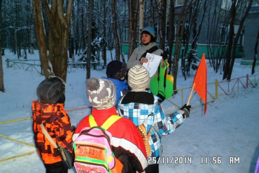 «Чудеса зимнего леса». Зимний поход — один из видов прогулок Фото «Чудеса зимнего леса». Зимний поход — один из видов прогулок