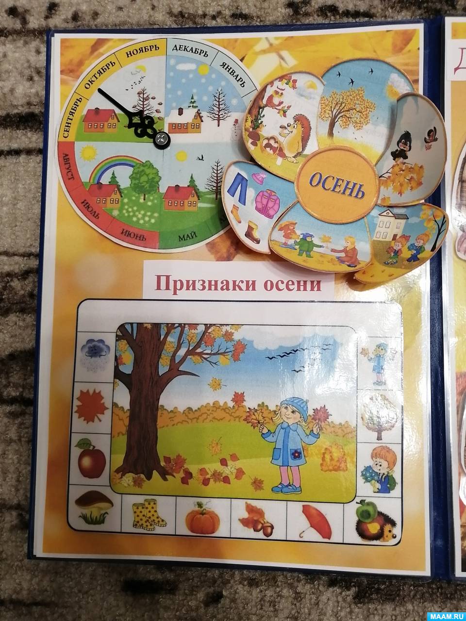 Лэпбук по развитию речи. Говорим правильно. Воспитателям детских садов ...