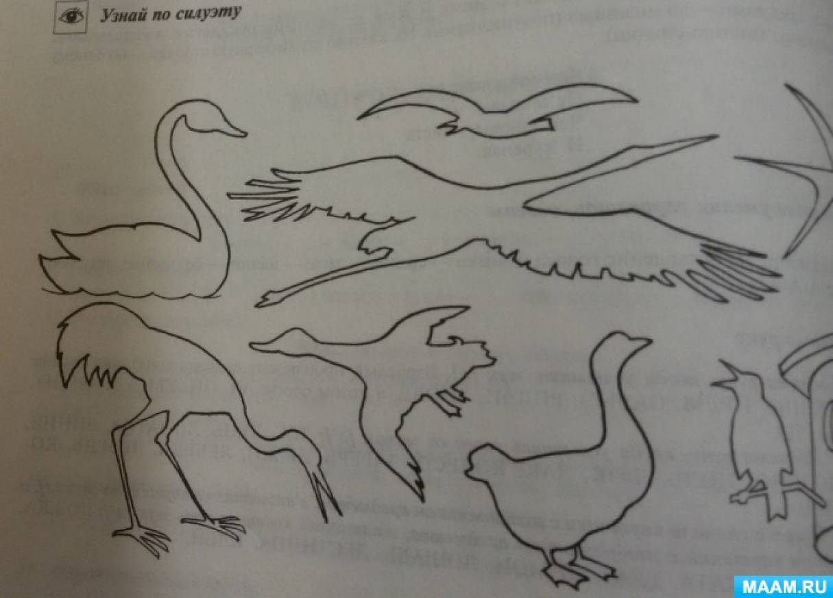 Занятие рисование перелетные птицы. Рисование в средней группе на тему перелетные птицы. Рисование перелетные птицы подготовительная группа. Рисование в подготовительной группе перелетные птицы птицы. Рисование подг гр перелётные птицы.