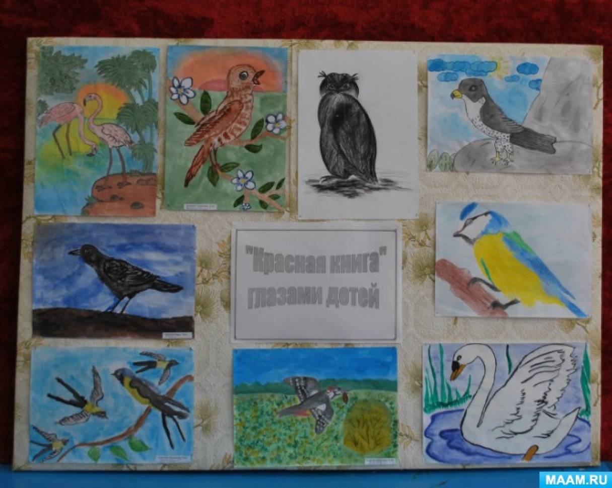Рисунок берегите птиц. Выставка рисунков птицы. Выставка книг о птицах. Берегите птиц рисунок. Рисунки птиц для детей на выставку.