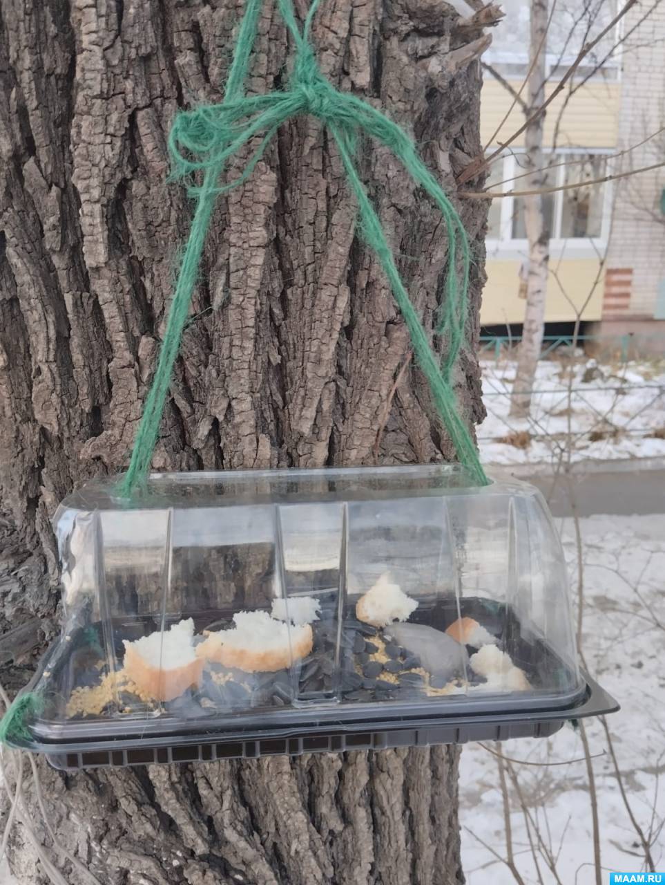Кормушка для птиц своими руками из подручных материалов в школу