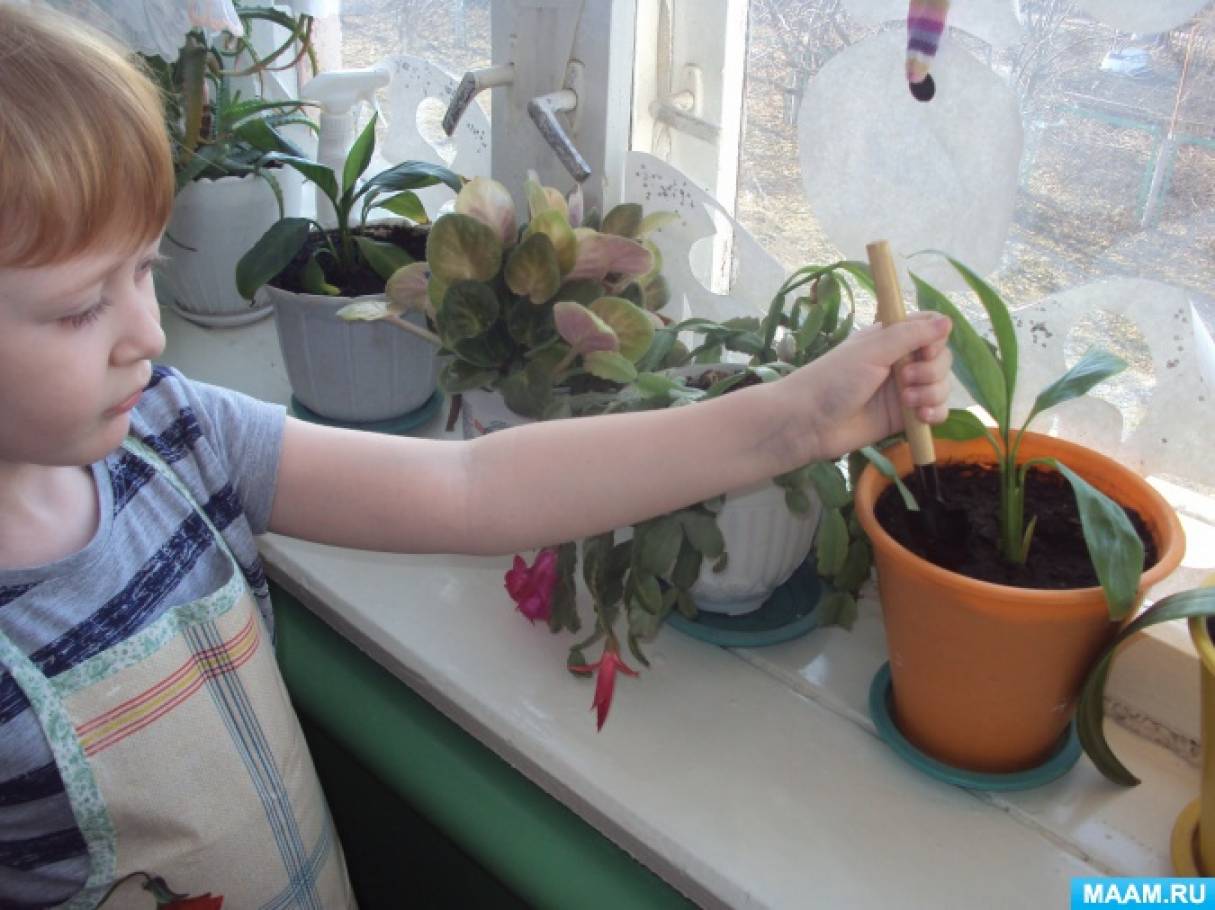 Фотоотчет «Будь природе другом» Фото Фотоотчет «Будь природе другом»