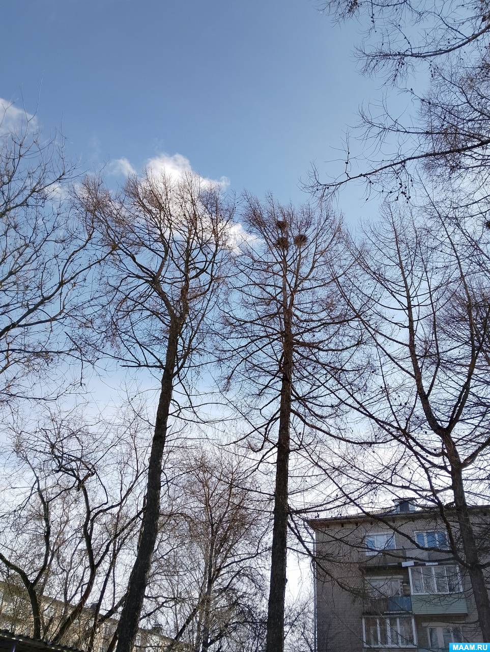 ������ � ������ ��������� ����� � ���������������� ������ ������ ��������� � ��������� ��������-����������