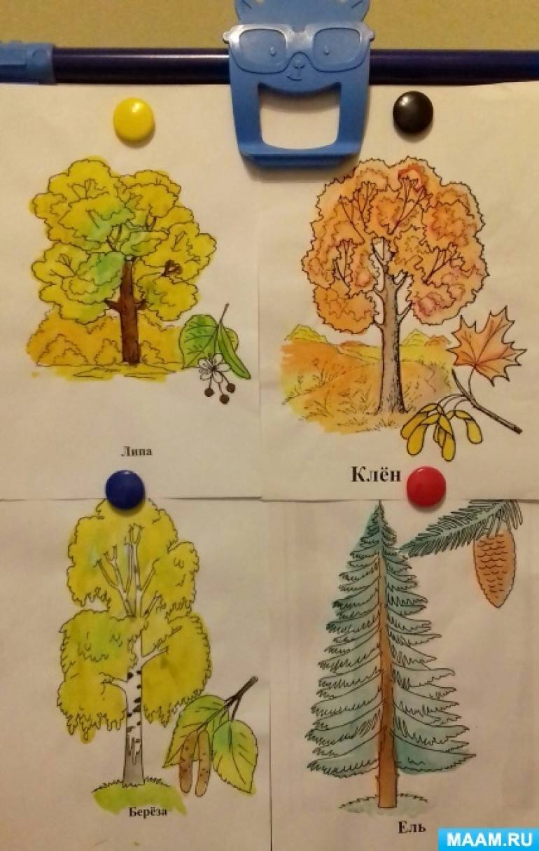Конспект НОД для детей старшего дошкольного возраста «Как растения к зиме готовятся»