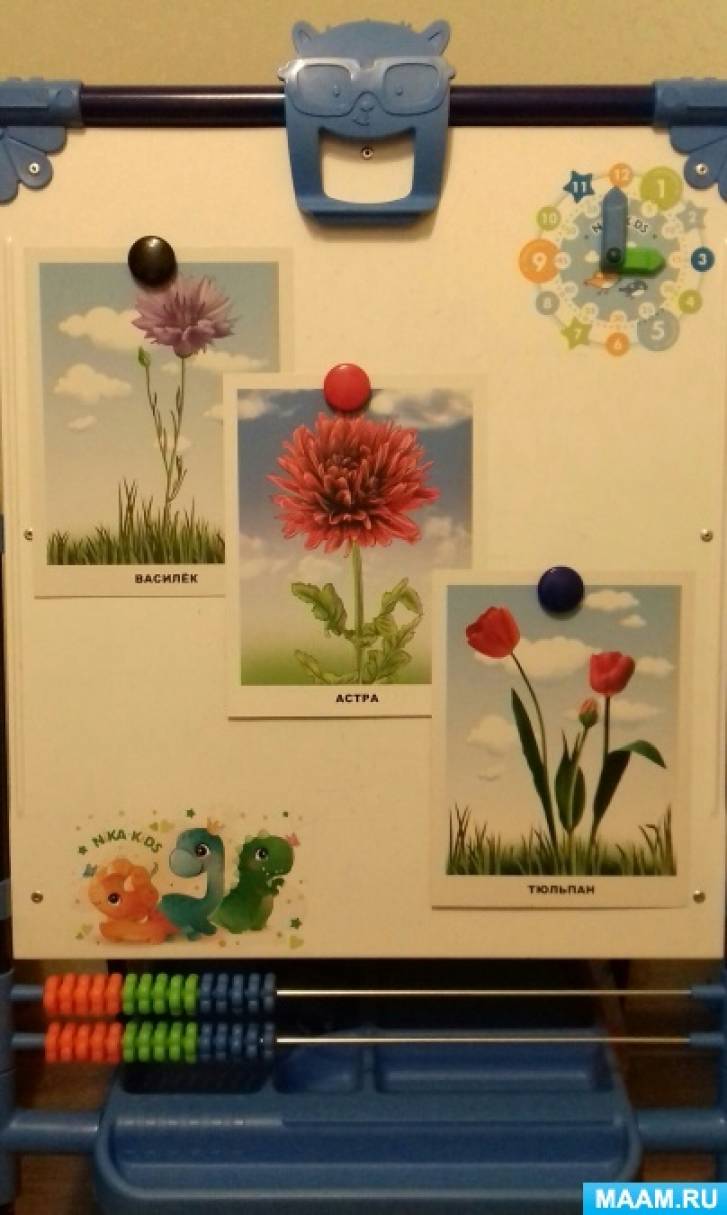 Викторина для учащихся 5–7 классов «Удивительные растения»