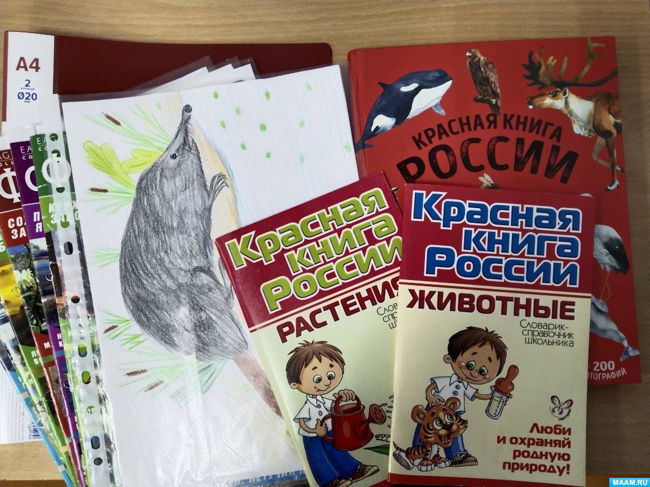 Работа над проектом «По страницам Красной книги Воронежской области». Фотоотчет