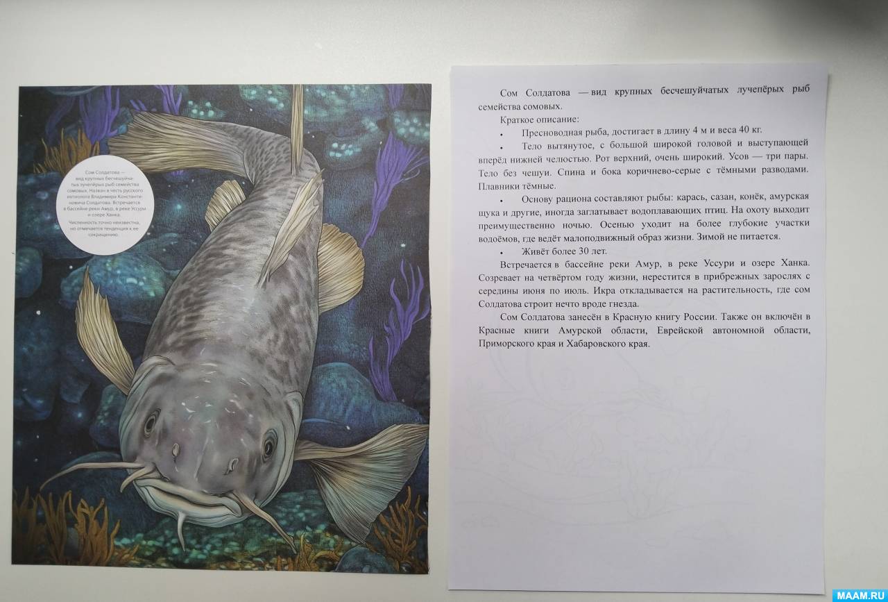 Смотреть фотографию №1 Фото №1 Ежегодно мая отмечается Международный экологический праздник День