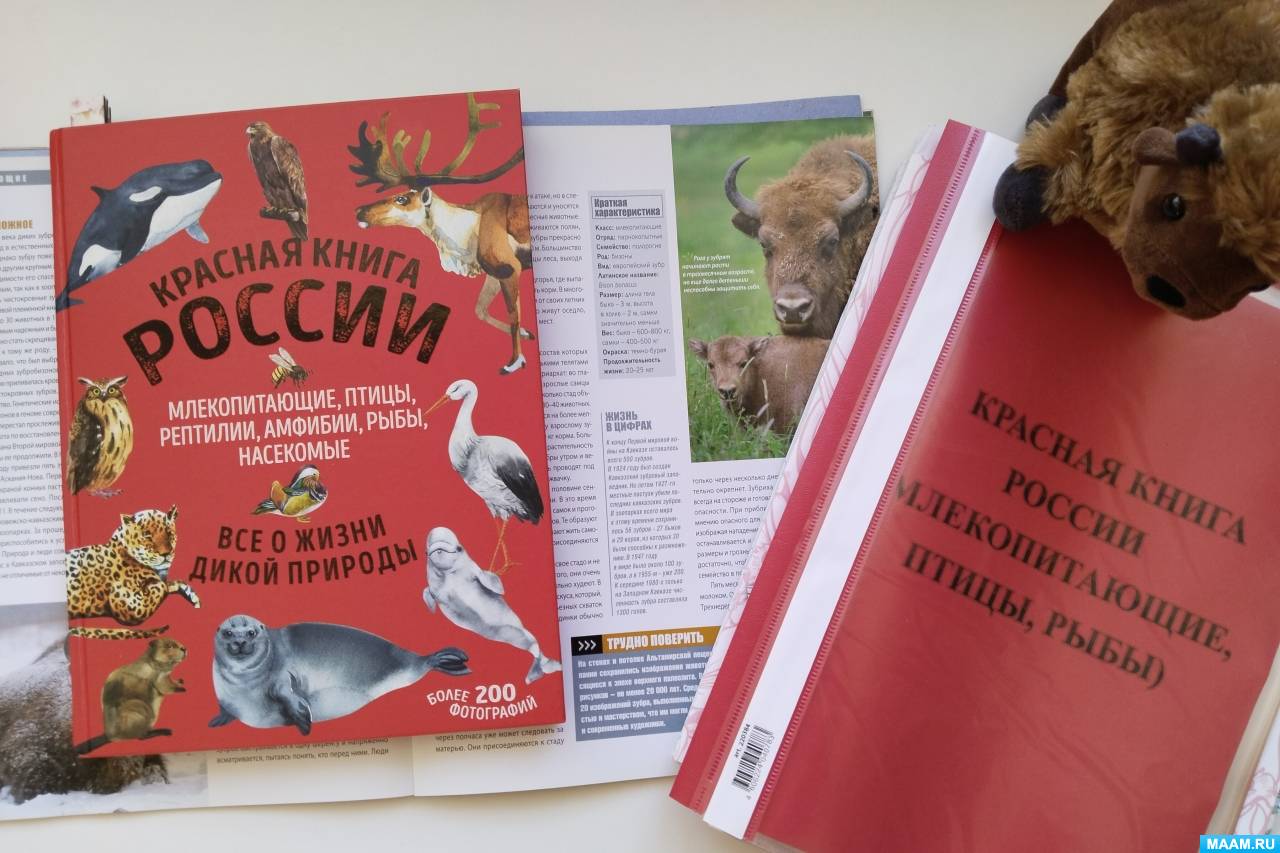 Смотреть фотографию №3 Фото №3 ИЗО поделки Россия
