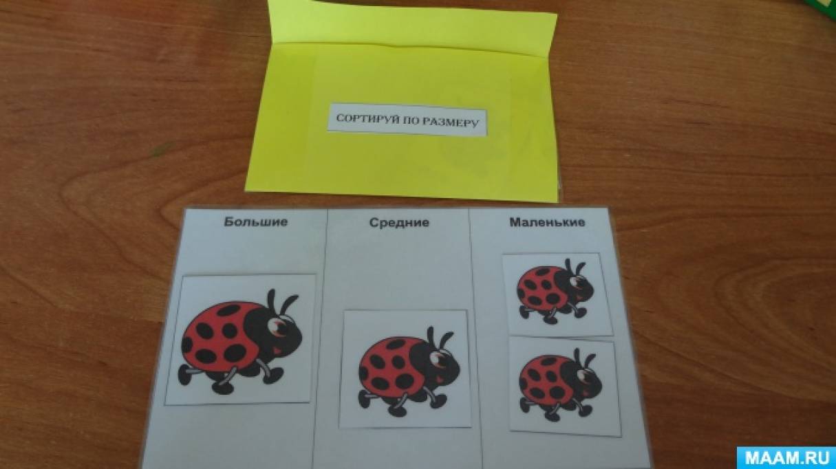 Картинки лэпбук насекомые